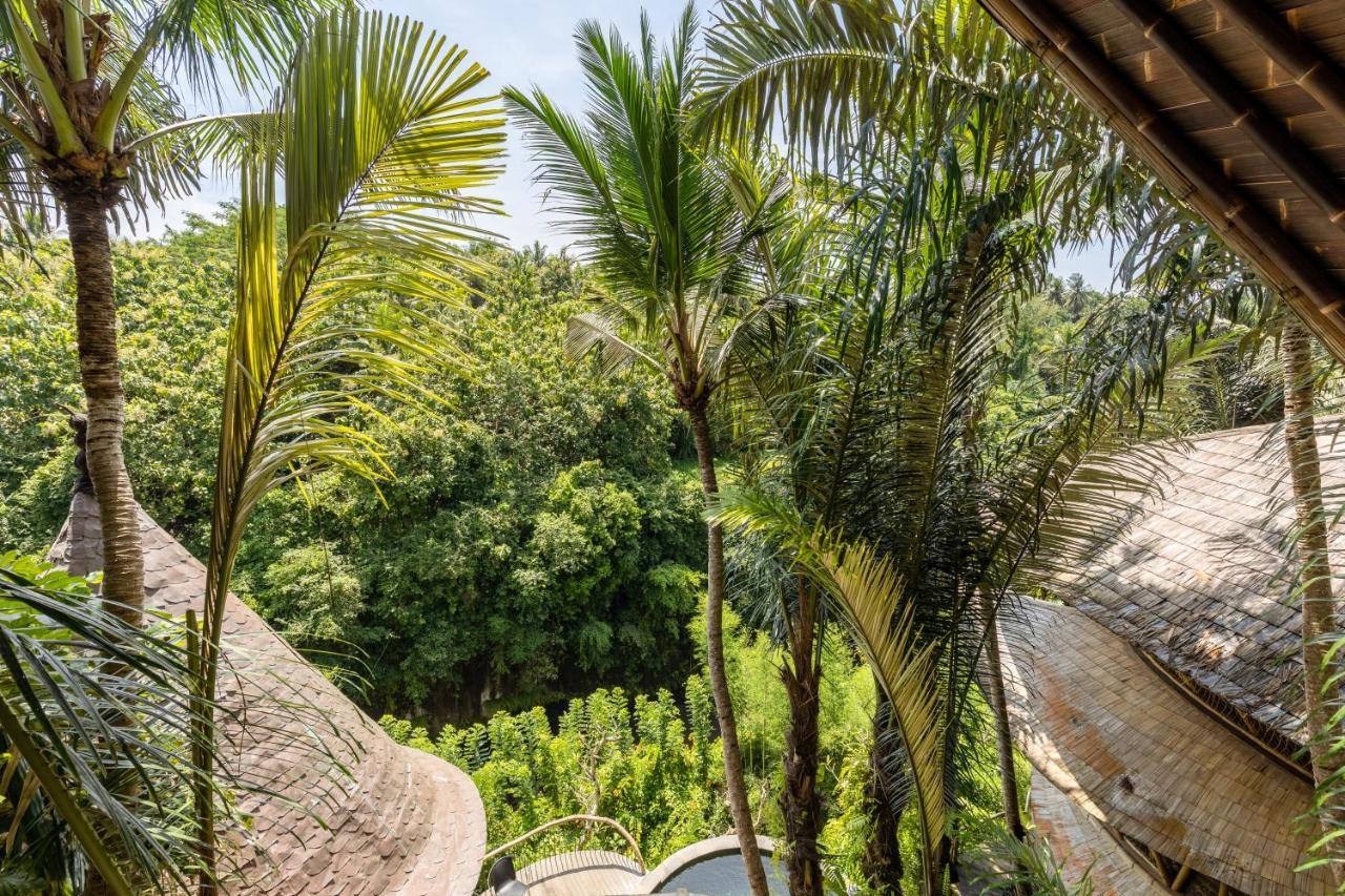 Eclipse House 4Bds Eco Bamboo House Pool Riverview Bringkit Extérieur photo